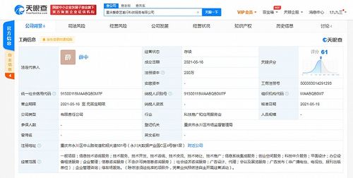 愛奇藝在重慶成立科技公司,拓展創業空間與信息系統集成服務